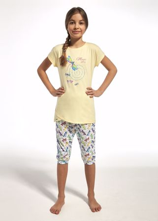 Obrázek CTT PYŽ.DÍV.251