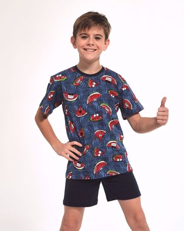 Obrázek CTT PYŽ.CHL.334