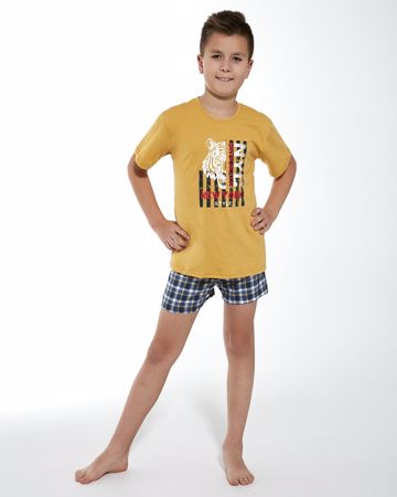 Obrázek CTT PYŽ.CHL.282