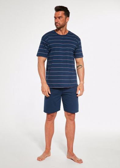 Obrázek z CTT PYŽ.PÁN.338 