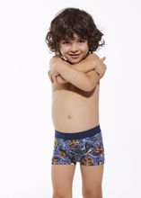 Obrázek z CTT BOX PRINT 700/135 164 