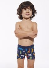 Obrázek z CTT BOX PRINT 701/134 116 