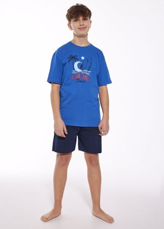 Obrázek CTT PYŽ.CHL.476