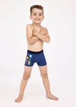 Obrázek z CTT BOX PRINT 701/139 116 