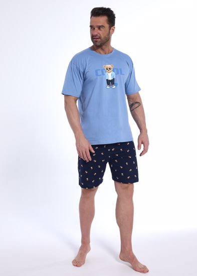 Obrázek z CTT PYŽ.PÁN.326 