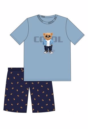 Obrázek CTT PYŽ.CHL.789